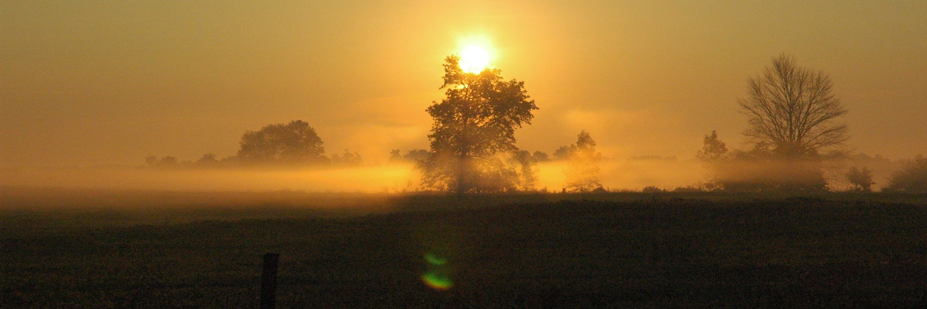 wellesleyon's profile banner image