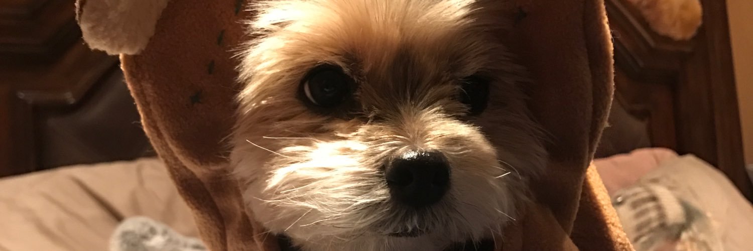 jillyfal18's profile banner image