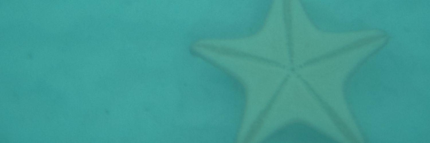 xelayosh's profile banner image