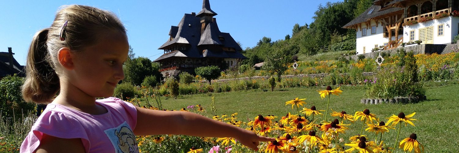 RaresIMoldovan's profile banner image