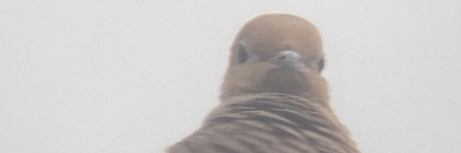jakeABshayne's profile banner image