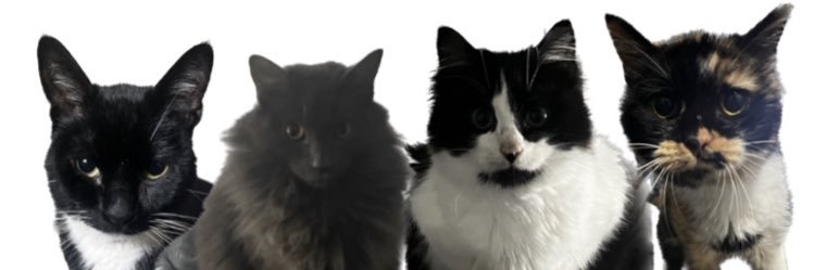 SadiMonet's profile banner image