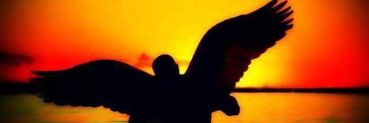 trakkyali's profile banner image