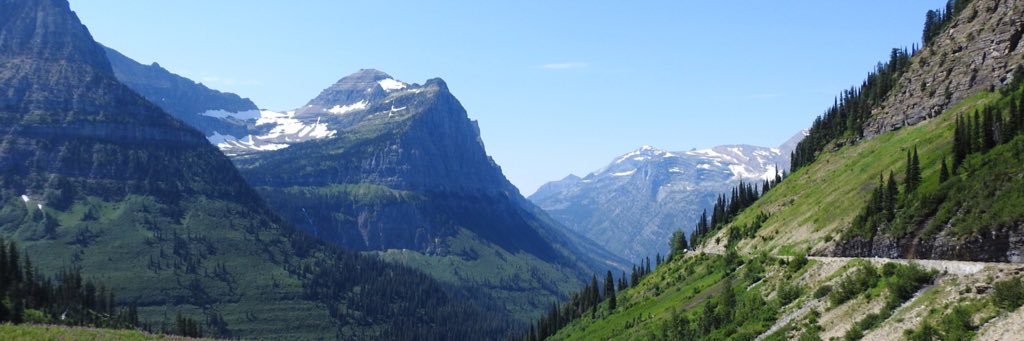 chloeeepatz's profile banner image