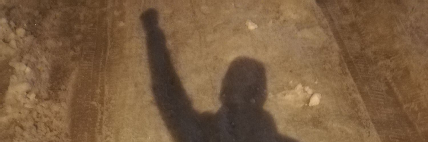 mstdmrblk3409's profile banner image