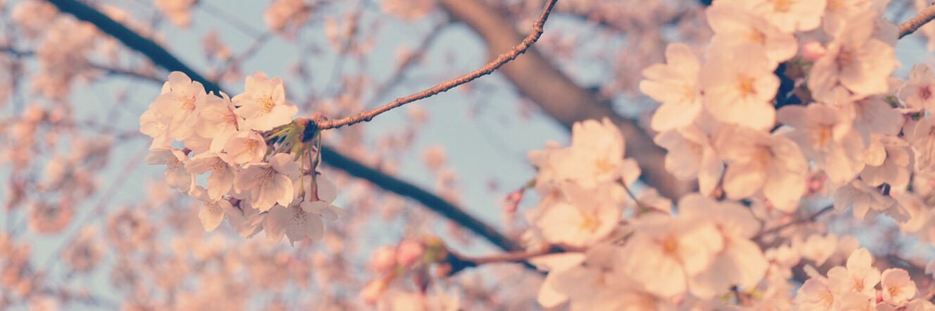 hiro_1180's profile banner image