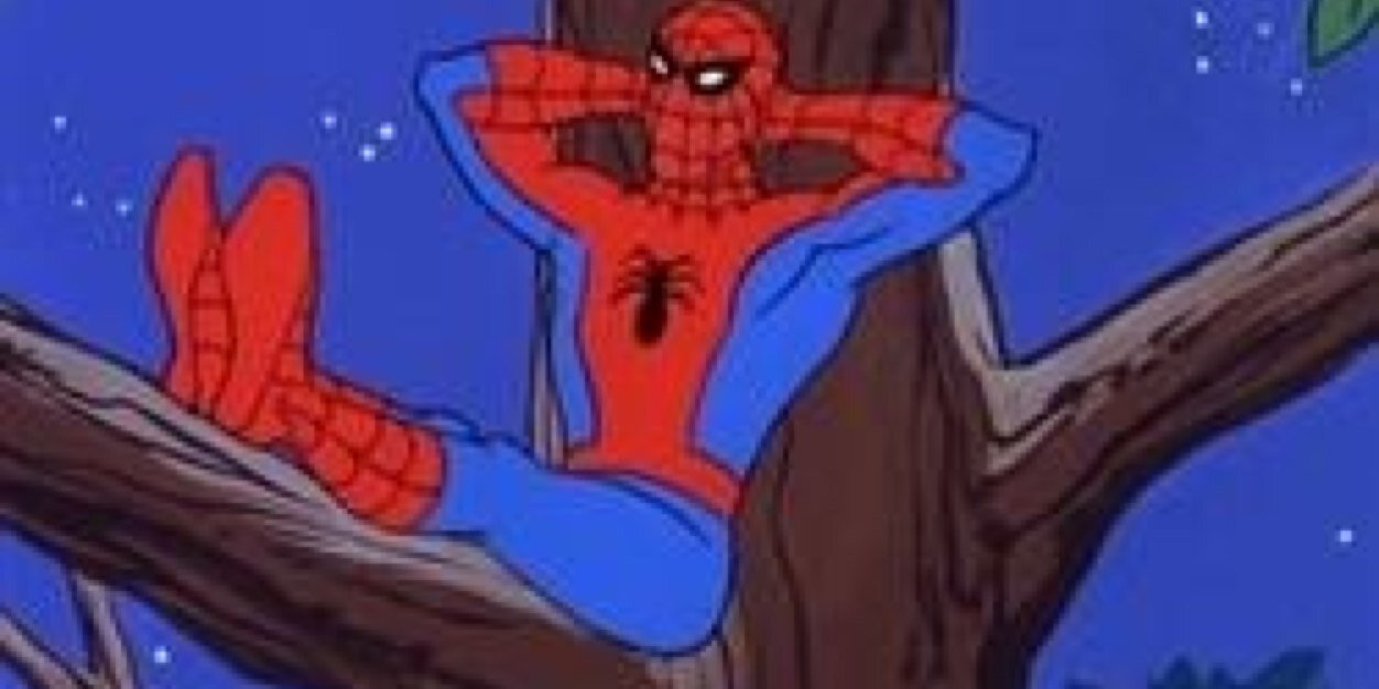 contabogs_13's profile banner image