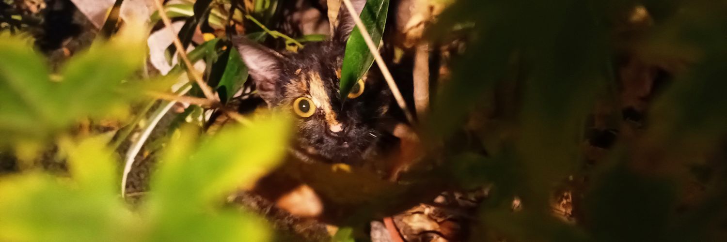 Efextofer's profile banner image