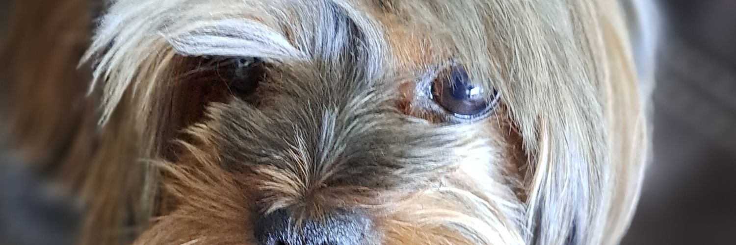 EncinaMAntonio's profile banner image