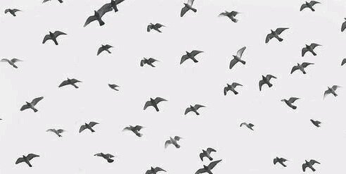 miroslavaml's profile banner image