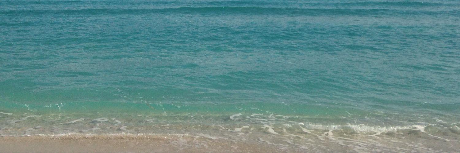 jeannecloyd's profile banner image