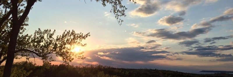 Michelle Paterson banner