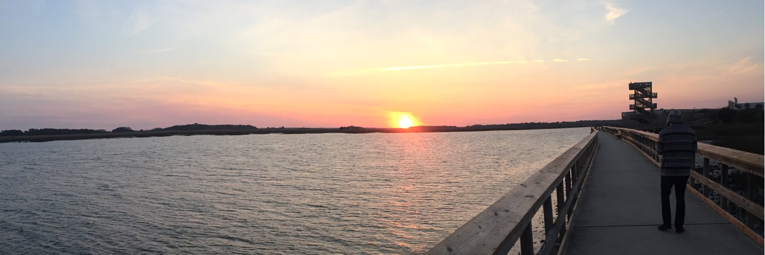 its_Roxxx's profile banner image