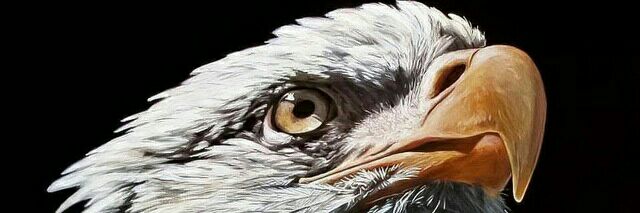 Bn_sufyan's profile banner image