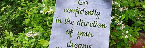catherine benno  banner