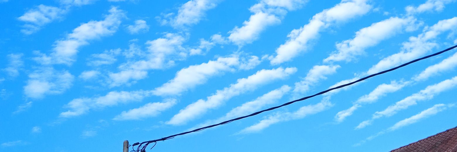 WaiWaimun's profile banner image