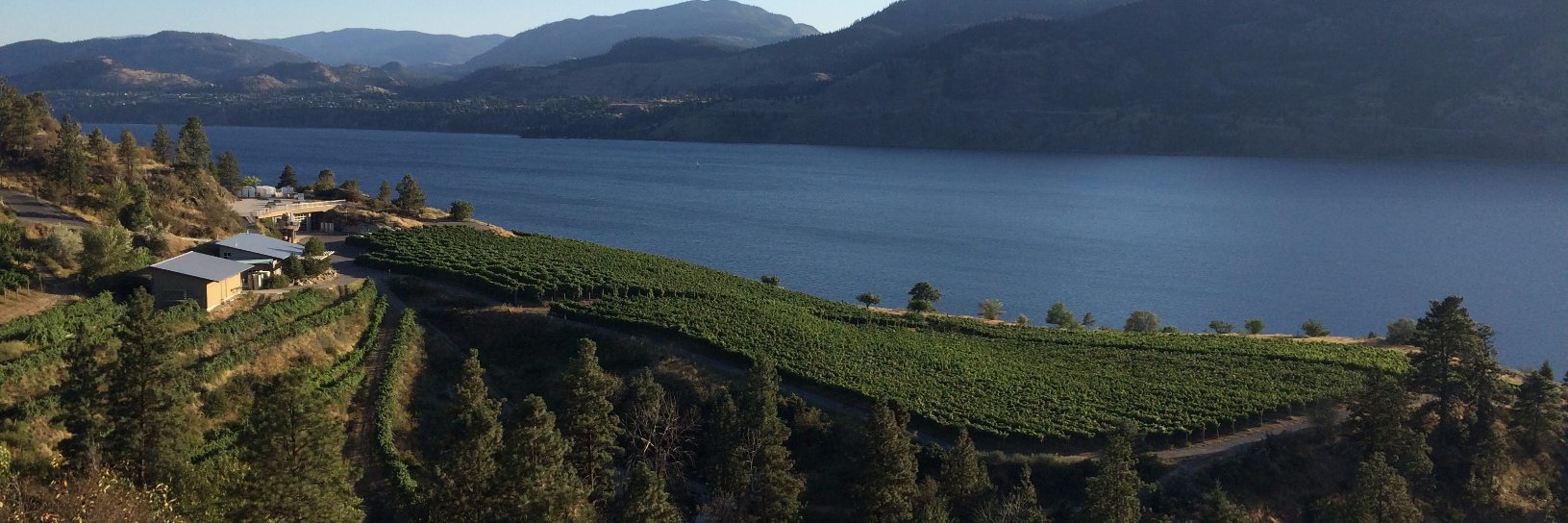 PentageWinery's profile banner image