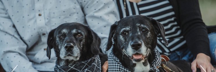 Linney_Lou's profile banner image