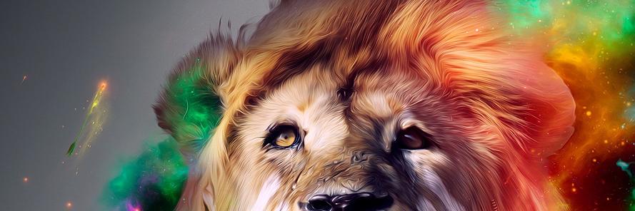 anne_cucu's profile banner image