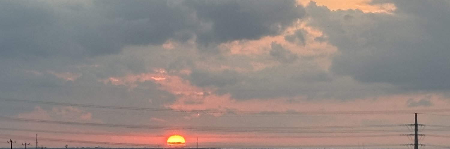 flatcatdr's profile banner image