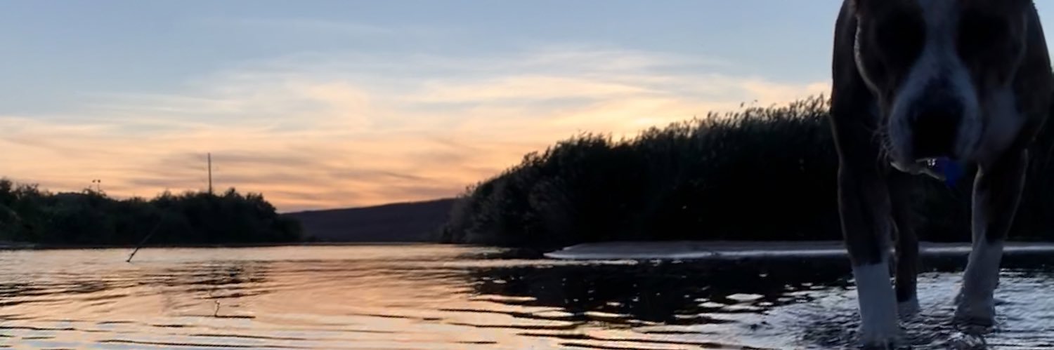 FunOnlineMan's profile banner image
