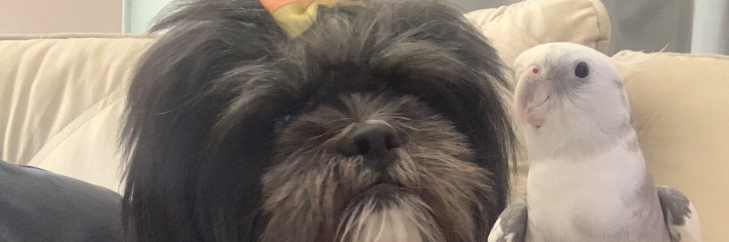 beeaslv_'s profile banner image