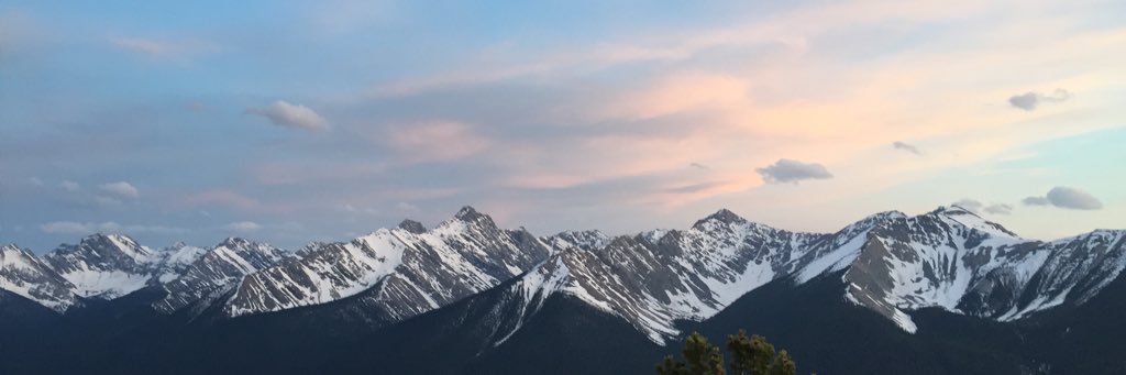 Dani_courte's profile banner image