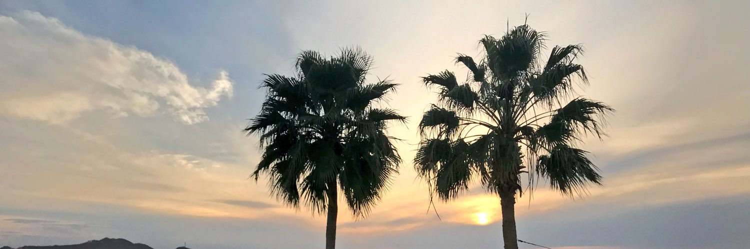 _josecerva's profile banner image