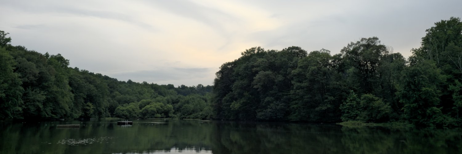 TorriMatt's profile banner image