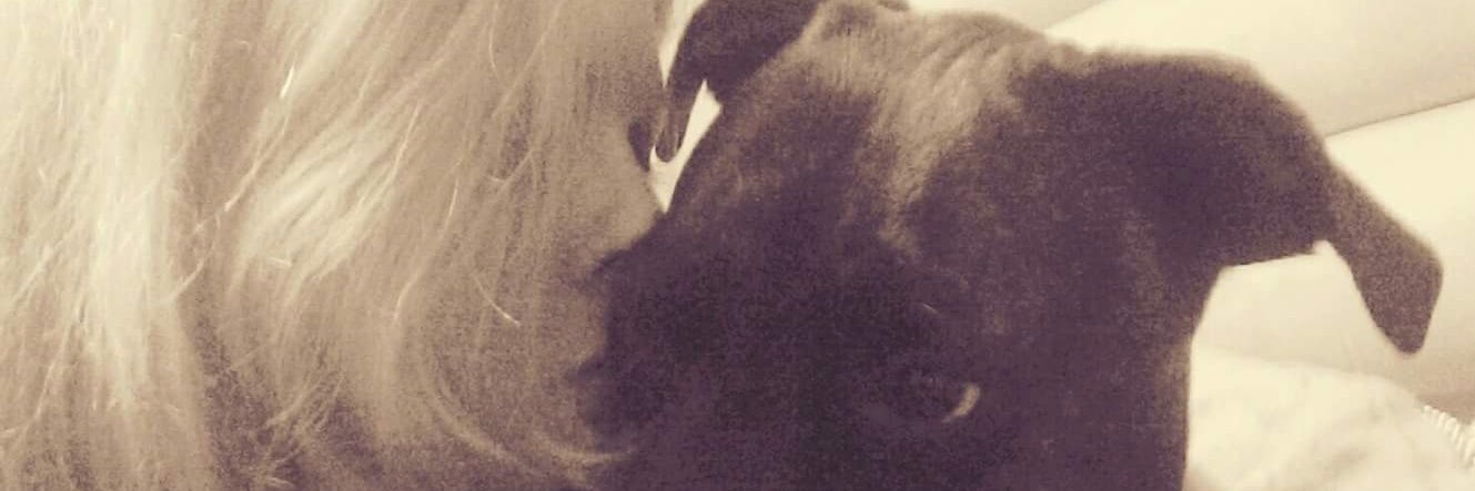 Cristie24's profile banner image