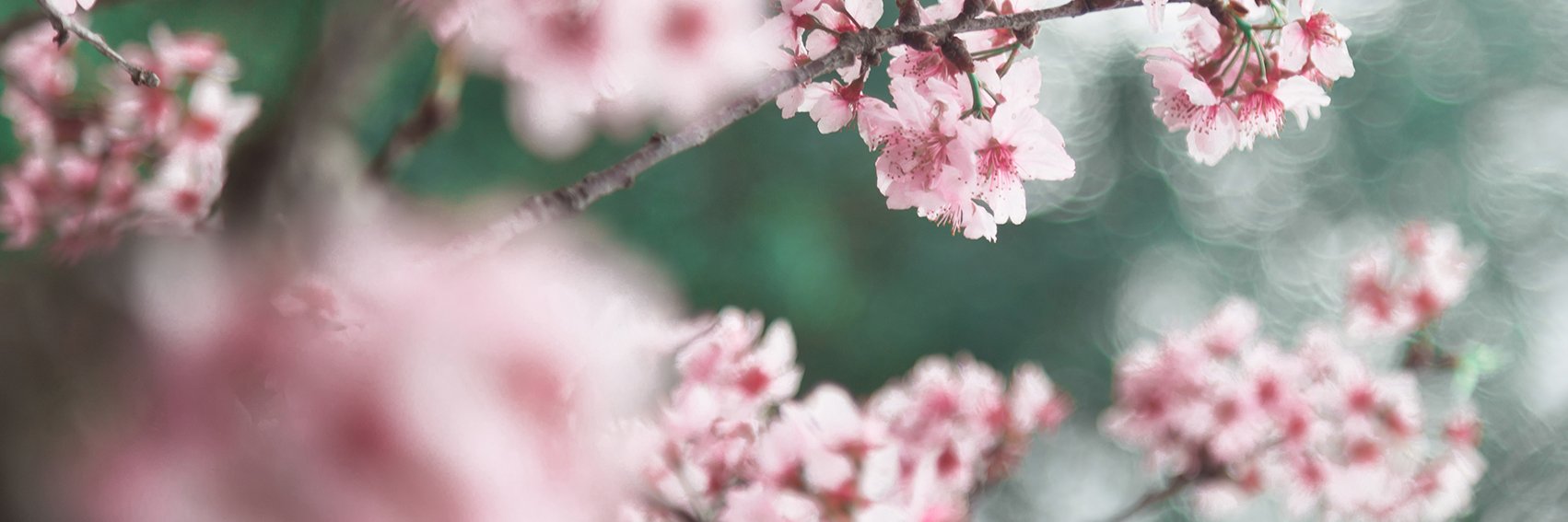 Raíra Venturieri banner