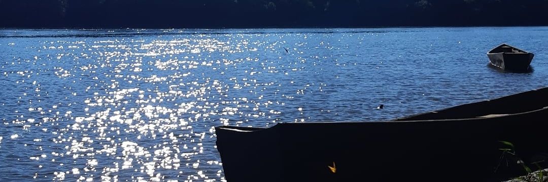 l_aninhap's profile banner image