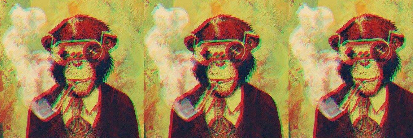 DanMvBr's profile banner image