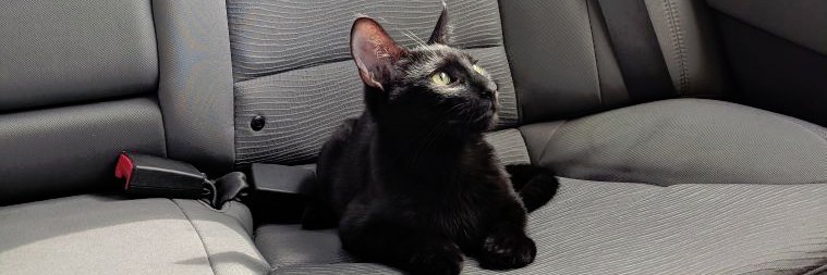 Cory Underwood banner