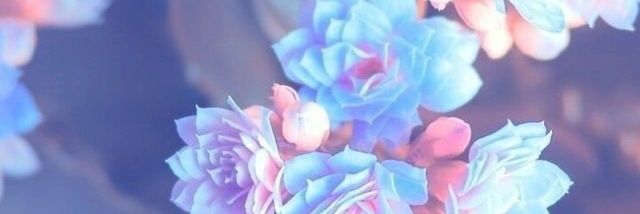 AndyGzz97's profile banner image
