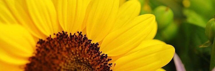 y_ellow02's profile banner image