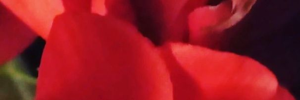 Adry7878's profile banner image