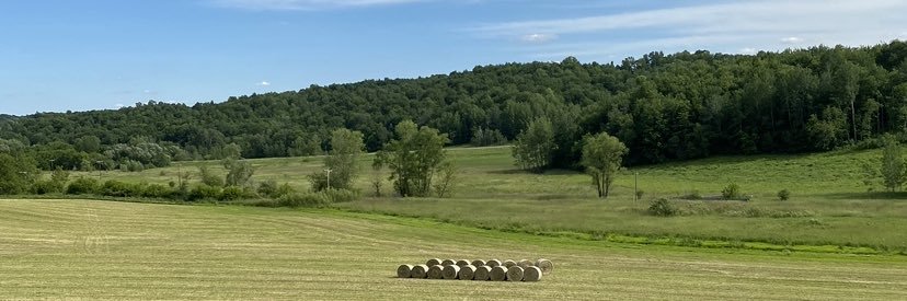 tknutson_2's profile banner image