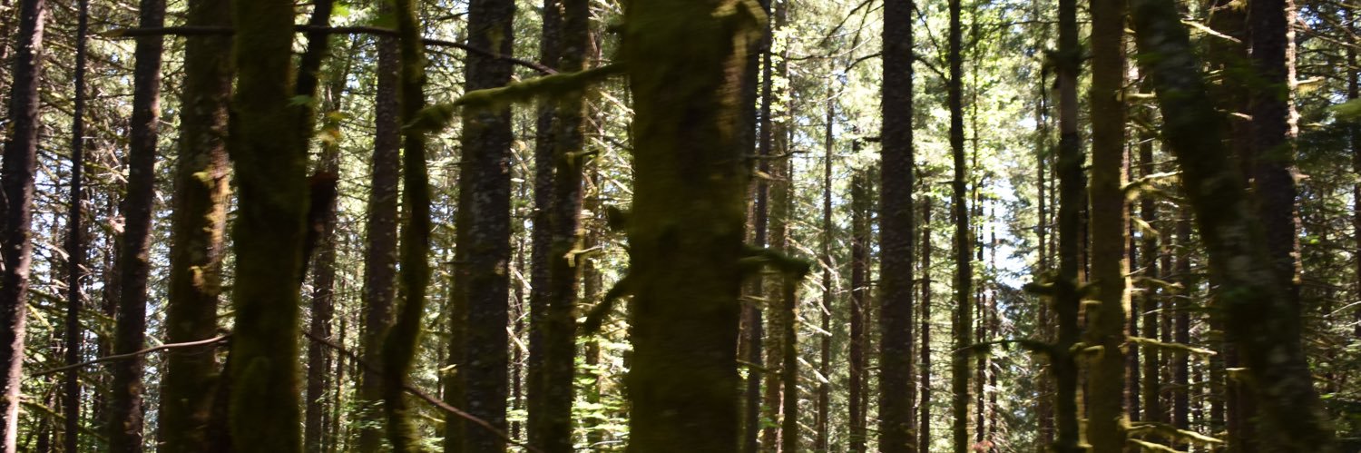 diorraindrop's profile banner image