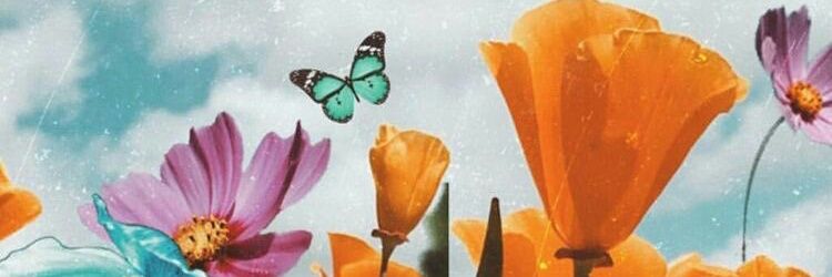 SWLHRTW's profile banner image