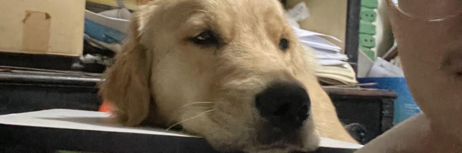 MuzerMTL's profile banner image