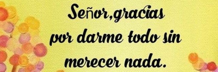 Carolina ☀️☘️💞 banner