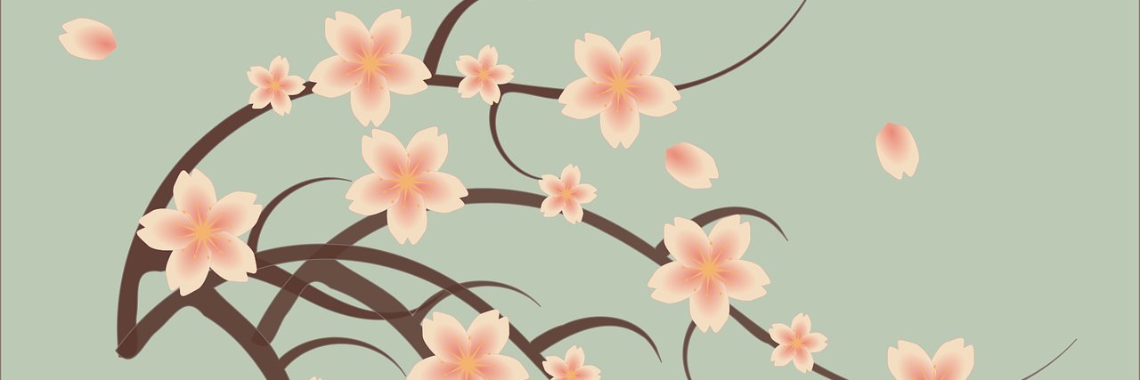 LaurasMMC's profile banner image