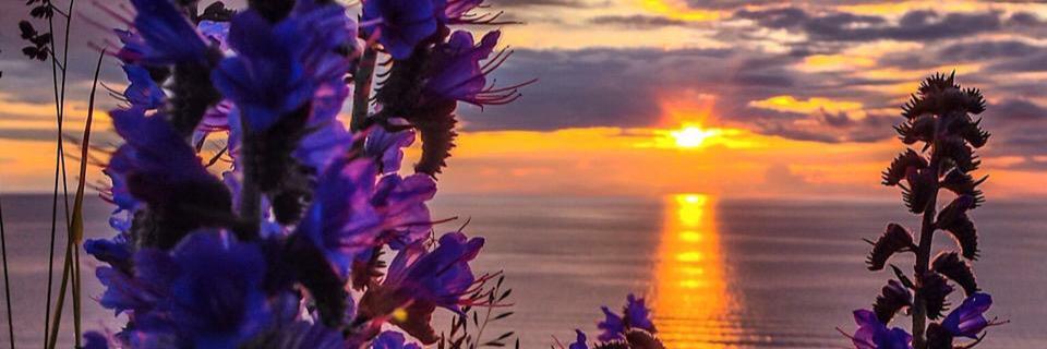 catrinewikstrom's profile banner image