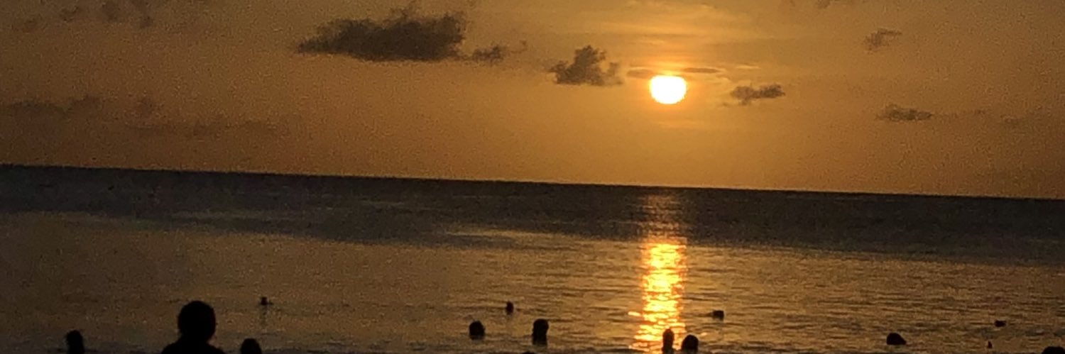 Rex_Hry's profile banner image