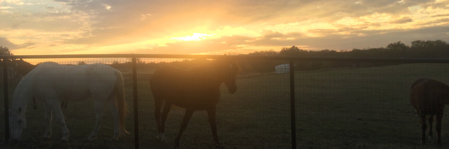 CGrish's profile banner image