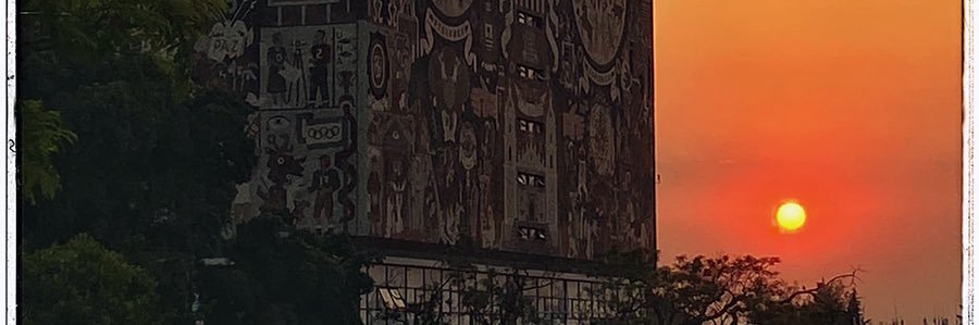 mgmglobal's profile banner image