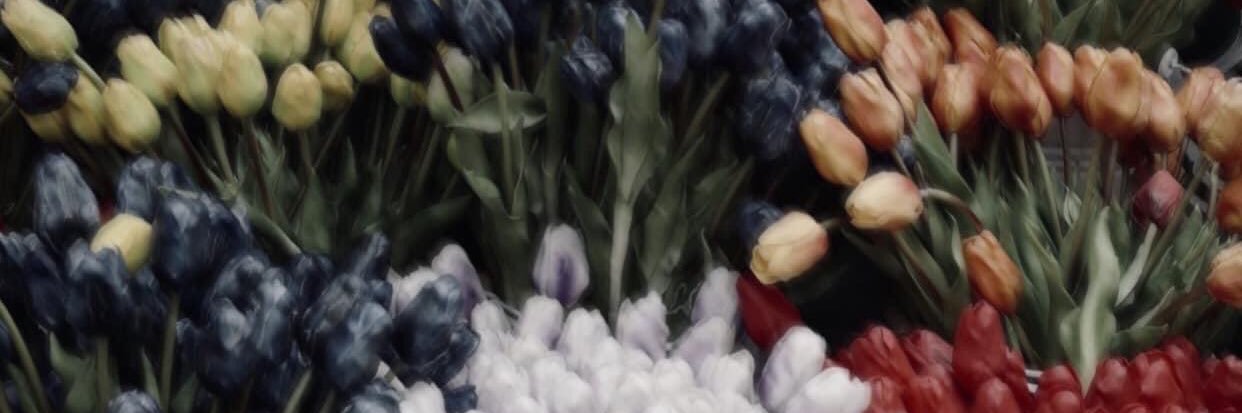 imellamaeL's profile banner image