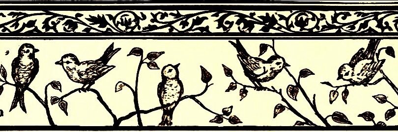 Pritam Acharya | ପ୍ରିତମ୍ ଆଚାର୍ଯ୍ୟ banner