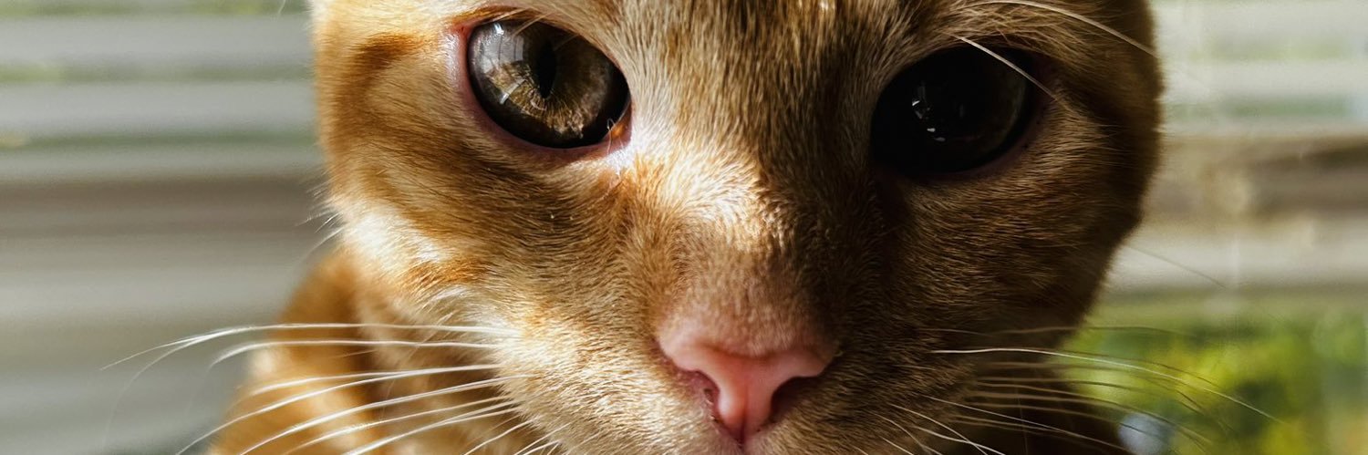 abbnormal_123's profile banner image